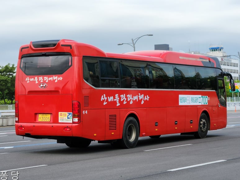 선진관광여행사 이미지