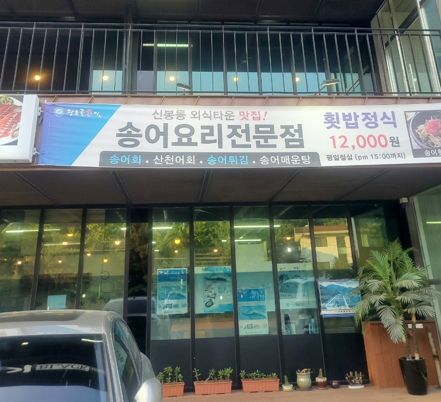 청호골송어 이미지