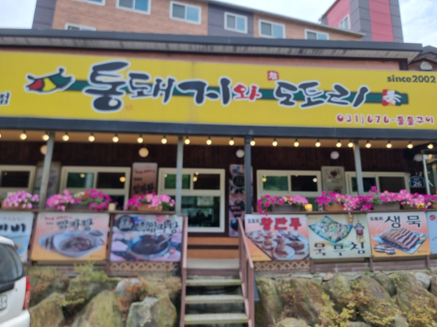 통돼지와도토리 이미지