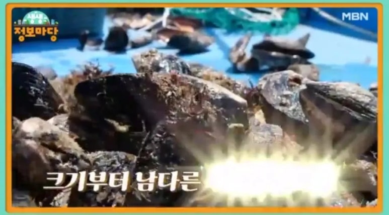 해물마당 이미지