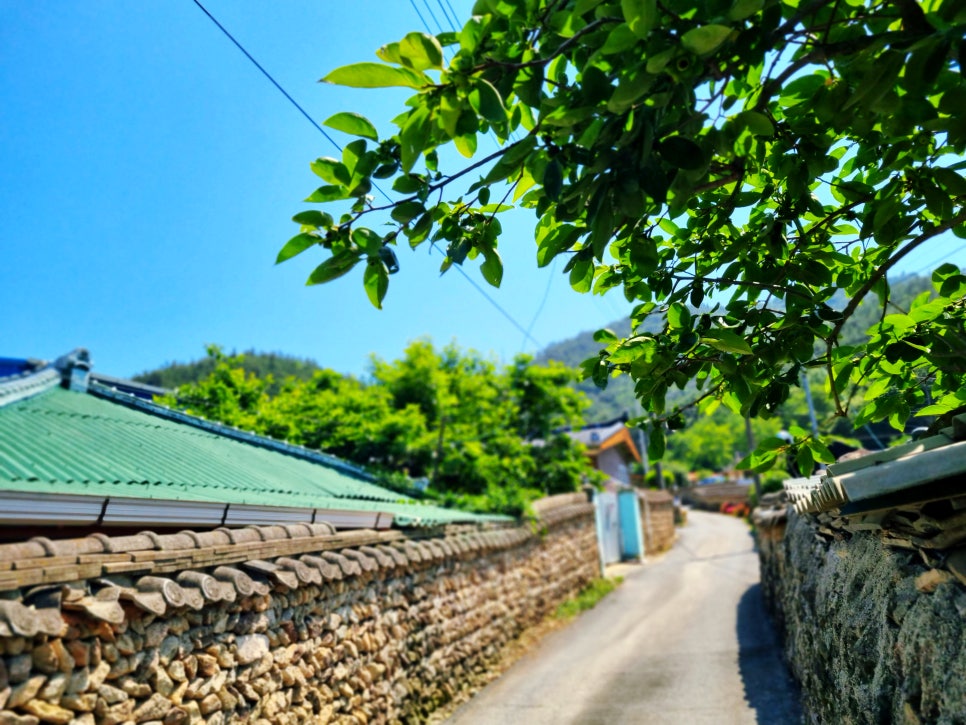 카페고향집 이미지