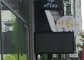 야옹아놀자 이미지