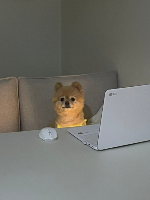술마켓바 이미지