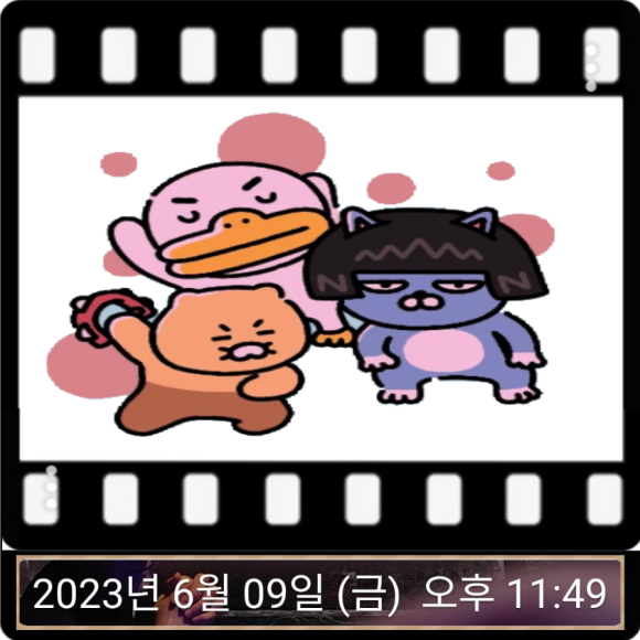 등대지기꼼장어 이미지