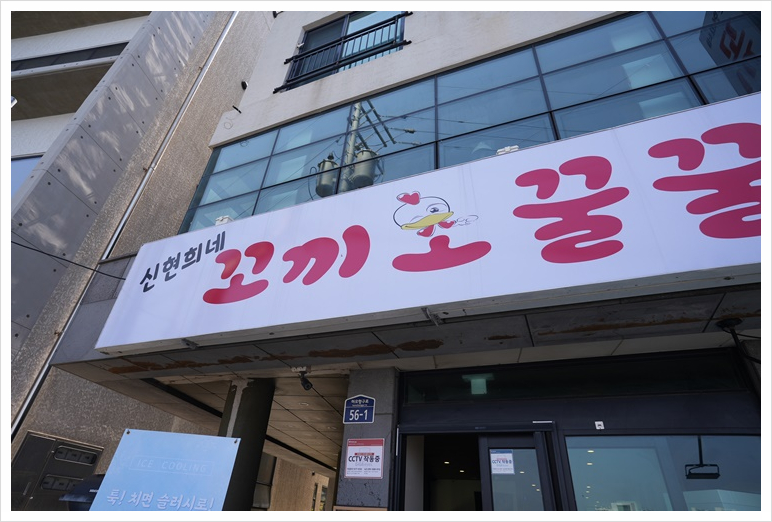 제주꼬끼오 이미지