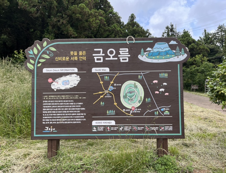 제주한치빵 이미지