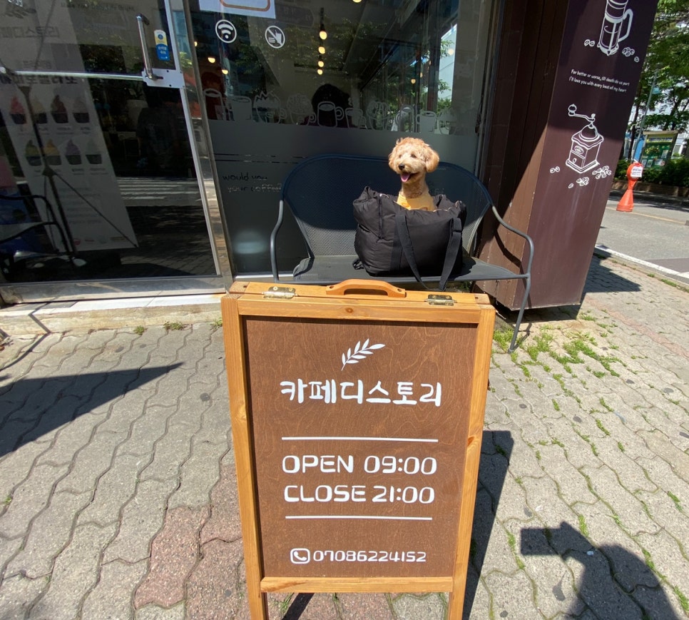 카페디스토리 이미지