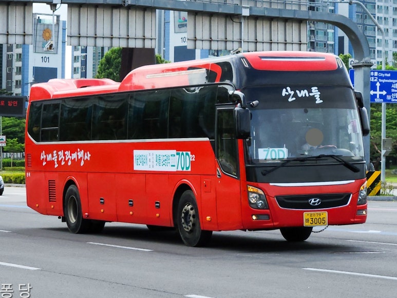선진관광여행사 이미지