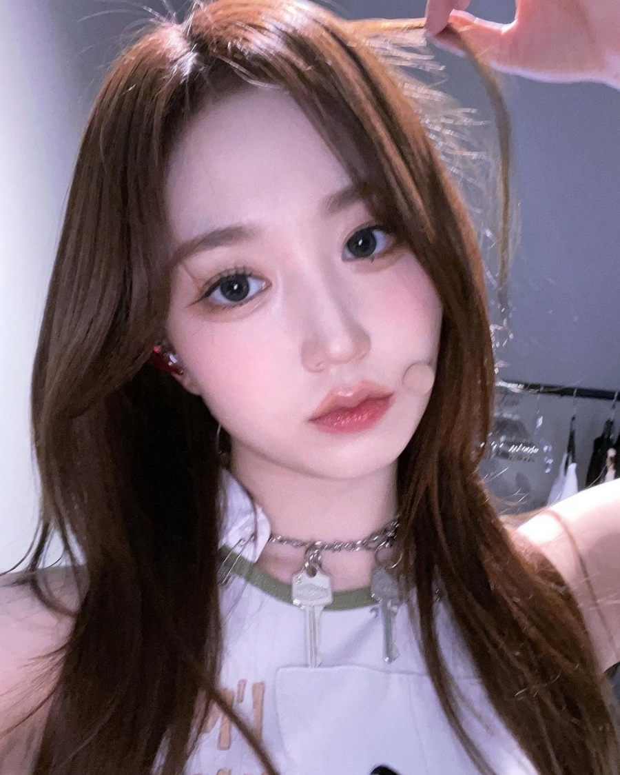 곰헤어 이미지