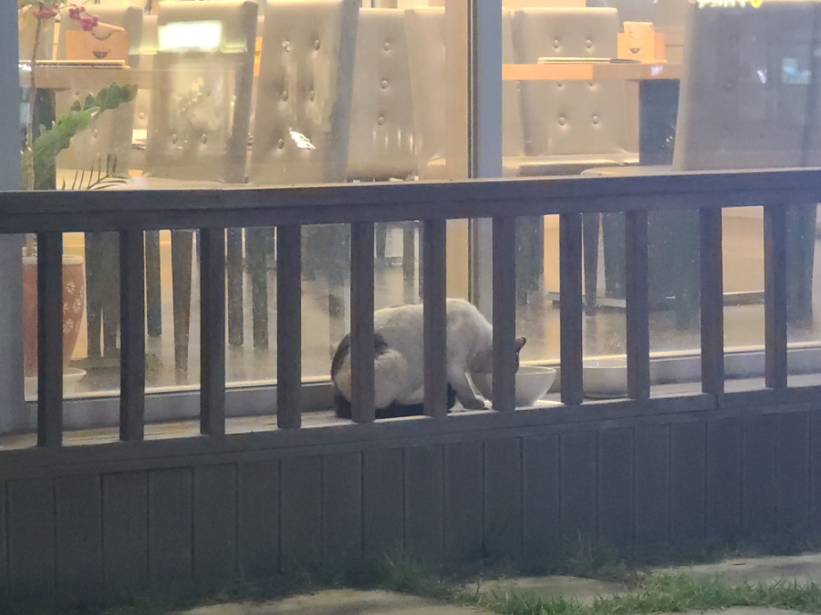 본죽예산군청점 이미지