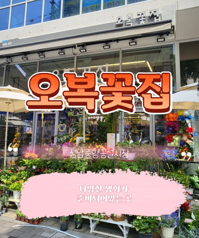 오복꽃집 이미지