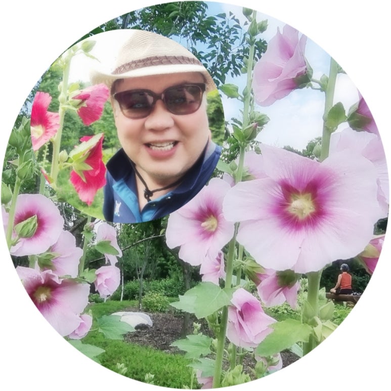 영상화원 이미지