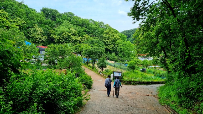 김가네더덕오리 이미지