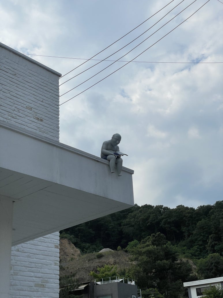 쇼글하우스 이미지