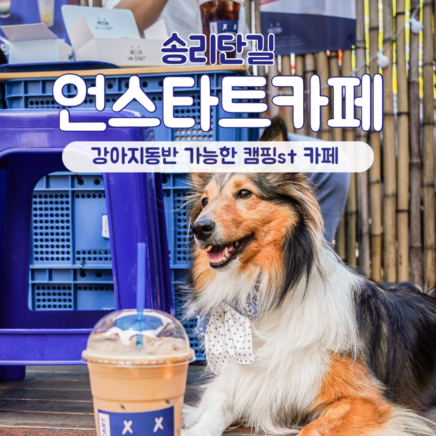 언스타트카페 이미지