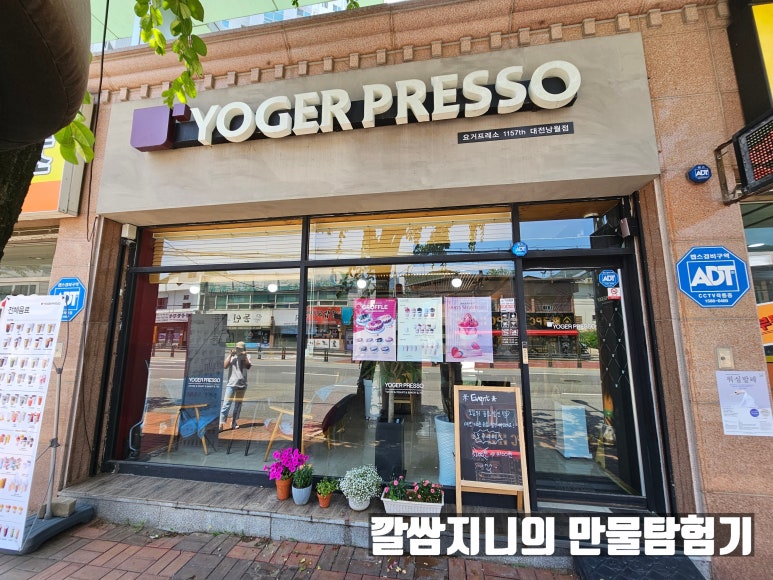 요거프레소대전 이미지