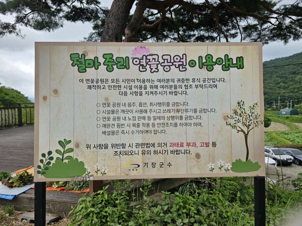 곰내커피 이미지