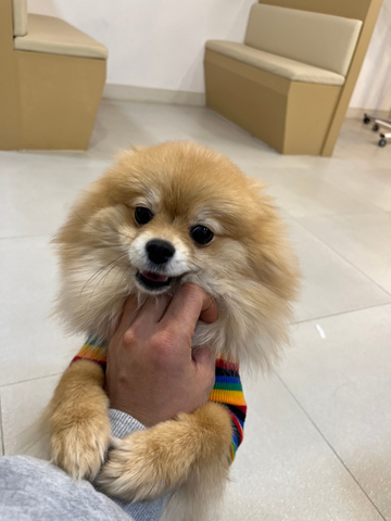 옥희미용실 이미지