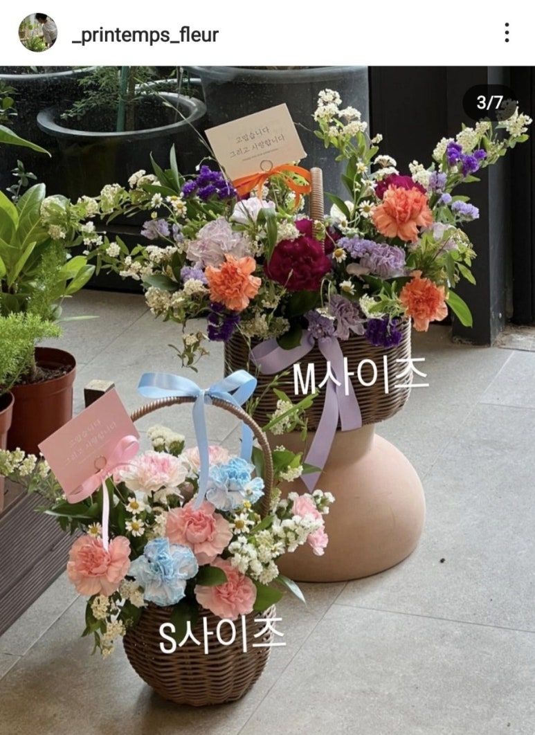 쁘렝땅플레르 이미지