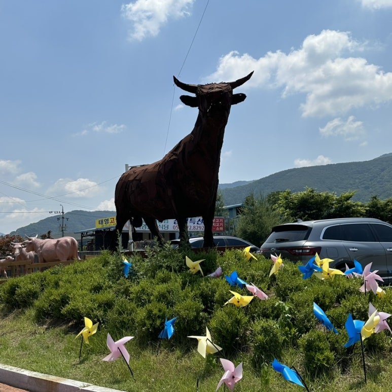 소야축산 이미지