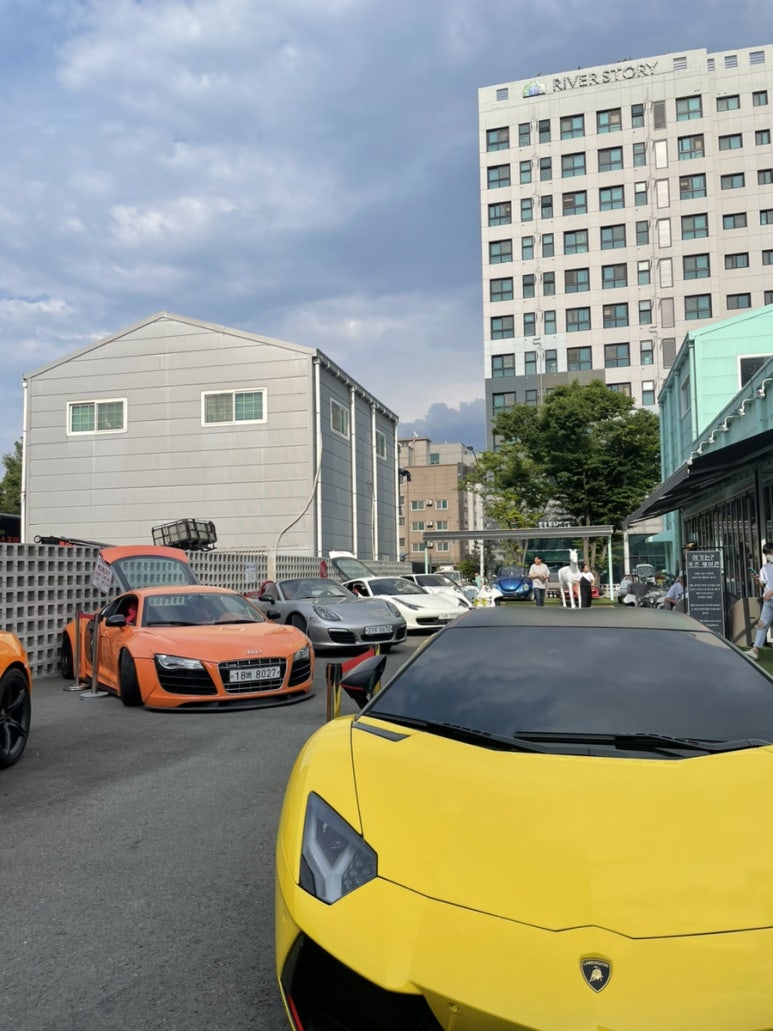 옐로우히피스 이미지