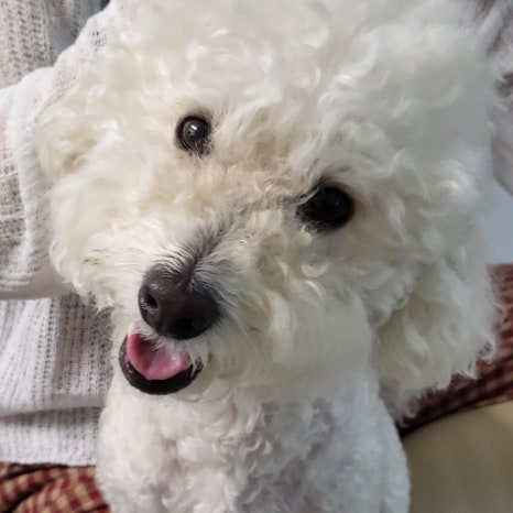 까까바다 이미지