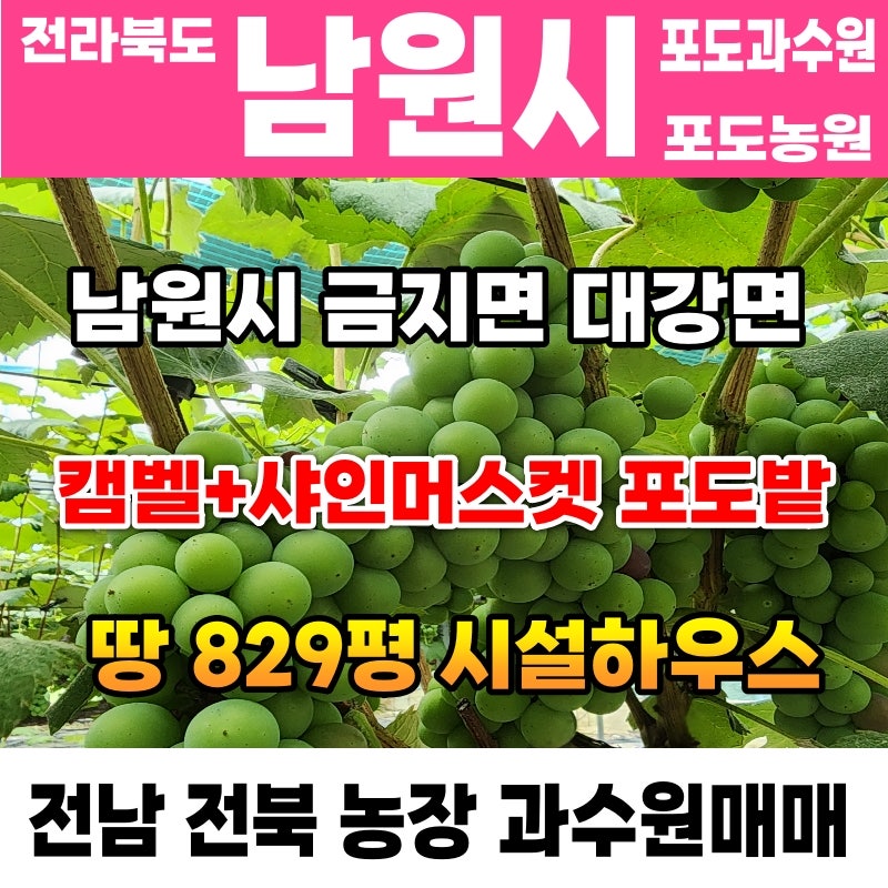 흥부골농원 이미지