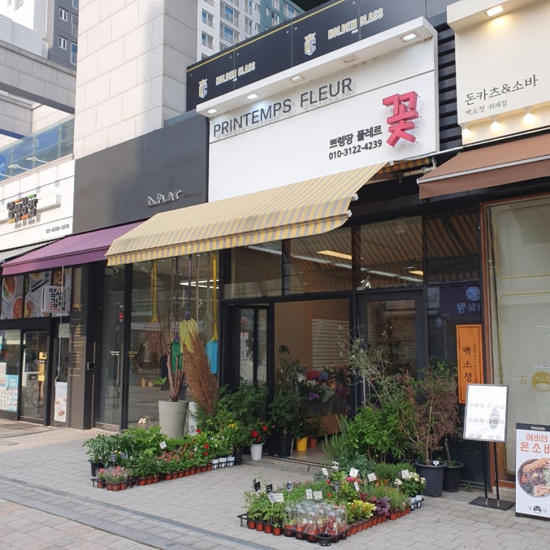 쁘렝땅플레르 이미지