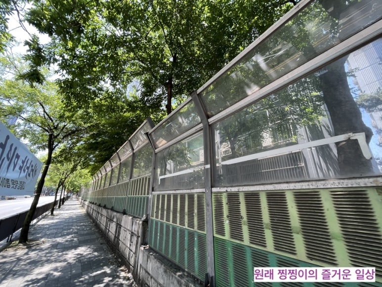 새삶 이미지