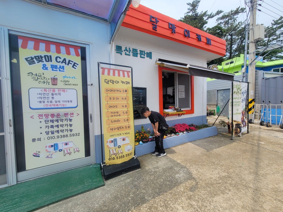 연대도달맞이 이미지