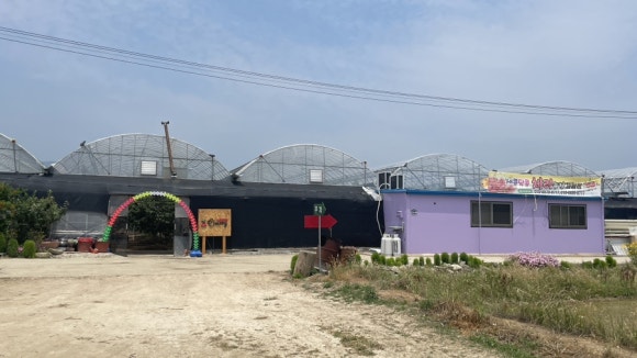 새콤달콤체리농장 이미지