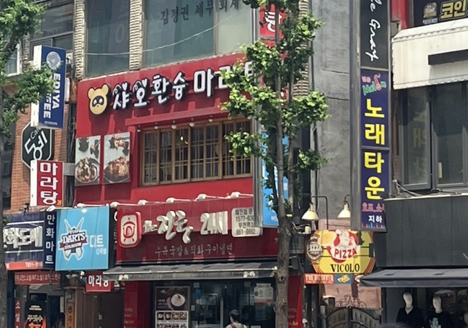 샤오환슝 이미지