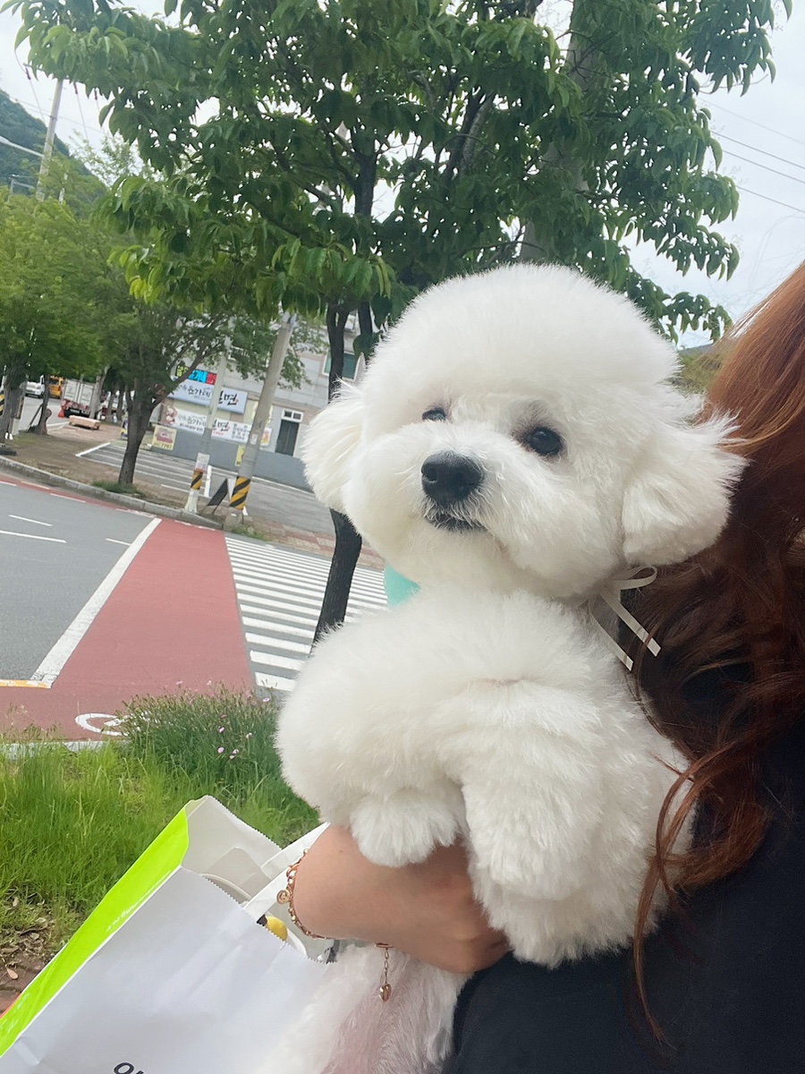 미경이미용실 이미지