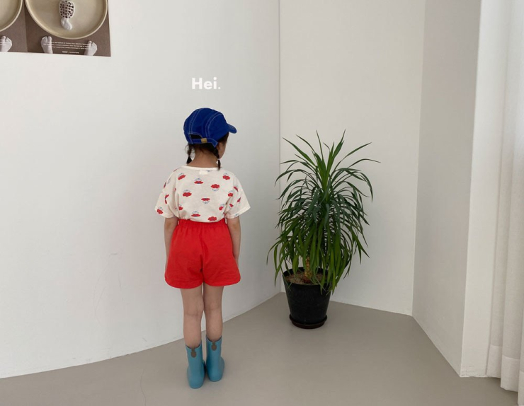 헤이꽃 이미지