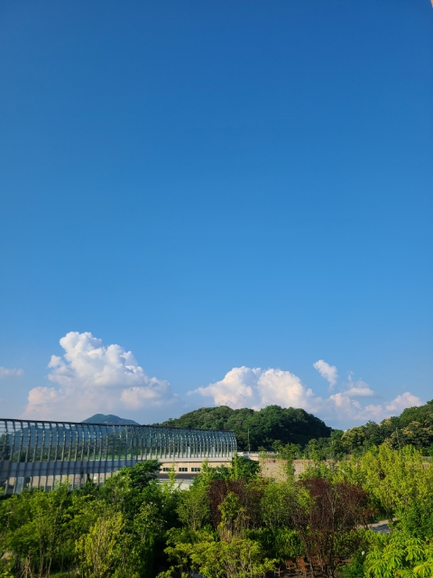 원할머니보쌈족발인천서창 이미지
