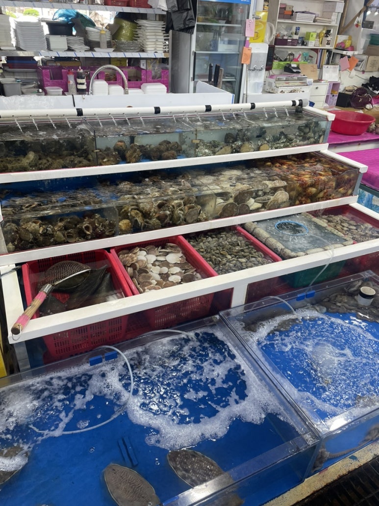 빛나리식당 이미지