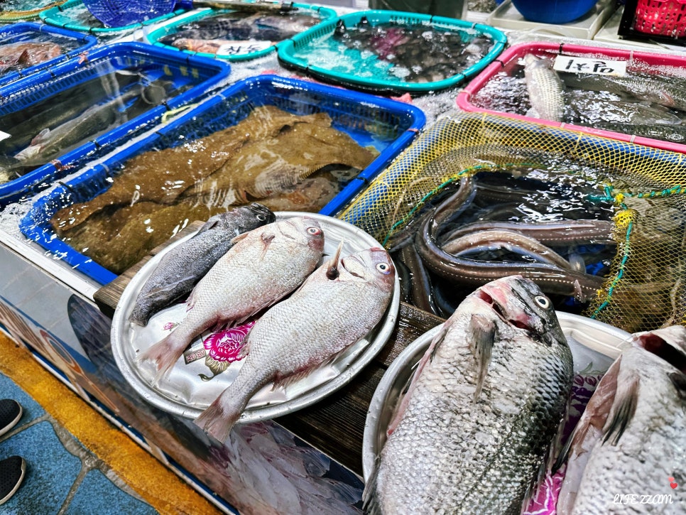 거제회수산 이미지