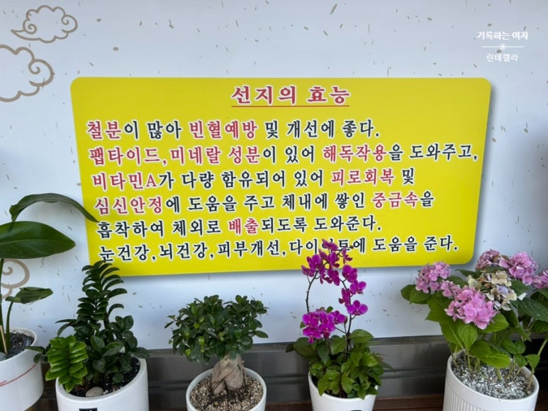 지안국밥냉면 이미지