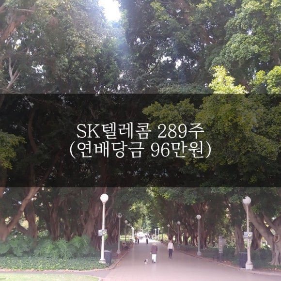 몽키텔레콤 이미지