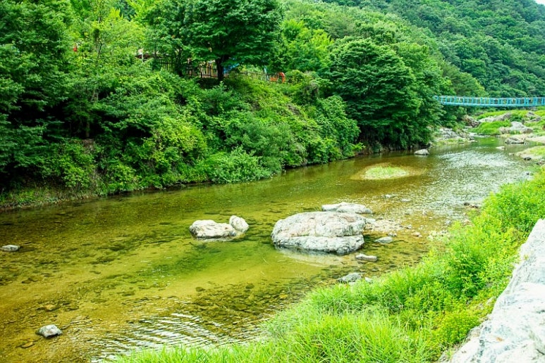 장령산자연휴양림 이미지