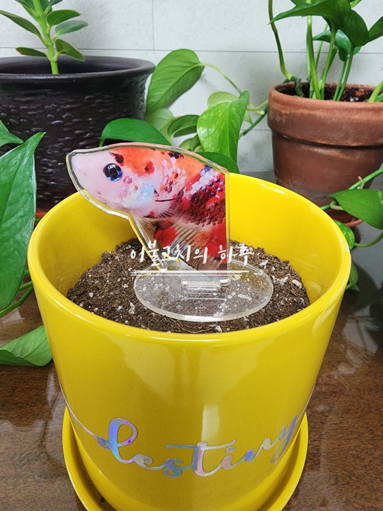 삼신아크릴 이미지