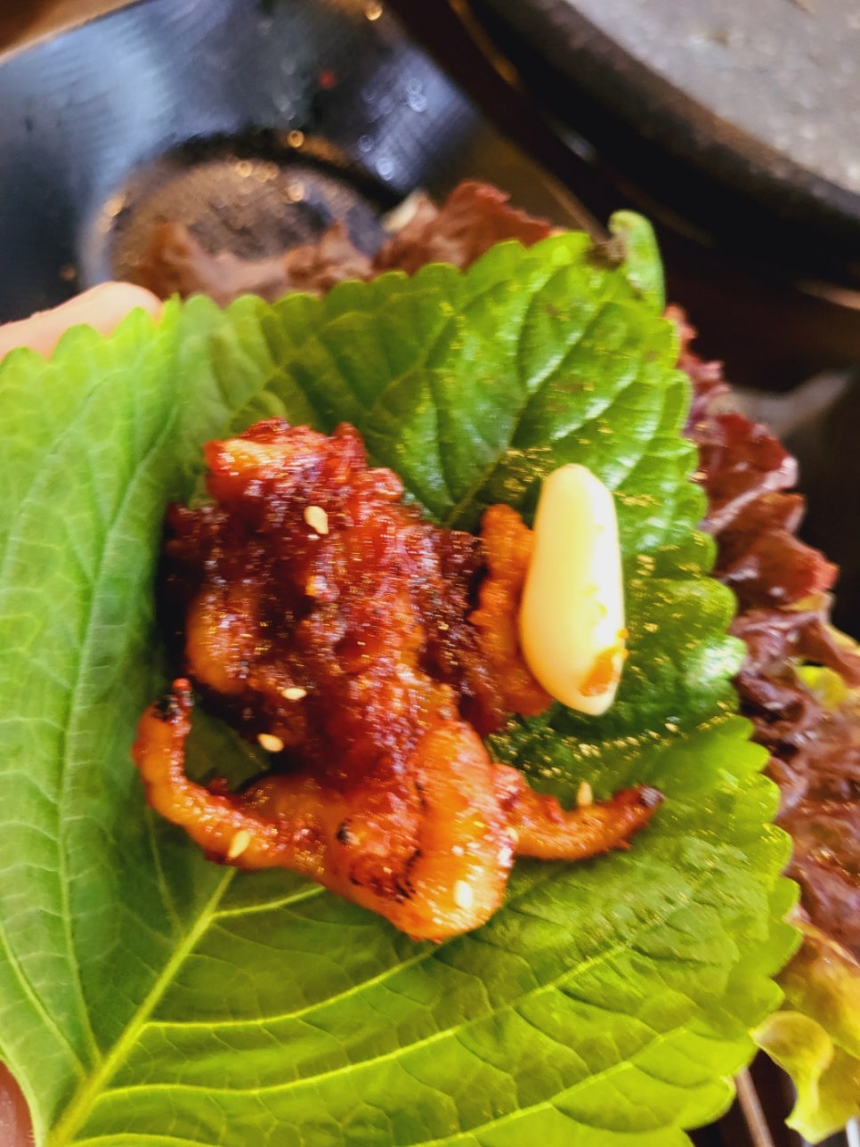 대구막창식당 이미지