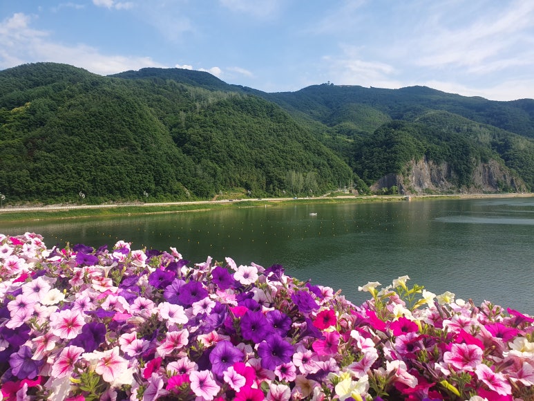 불닭발앤쌈 이미지