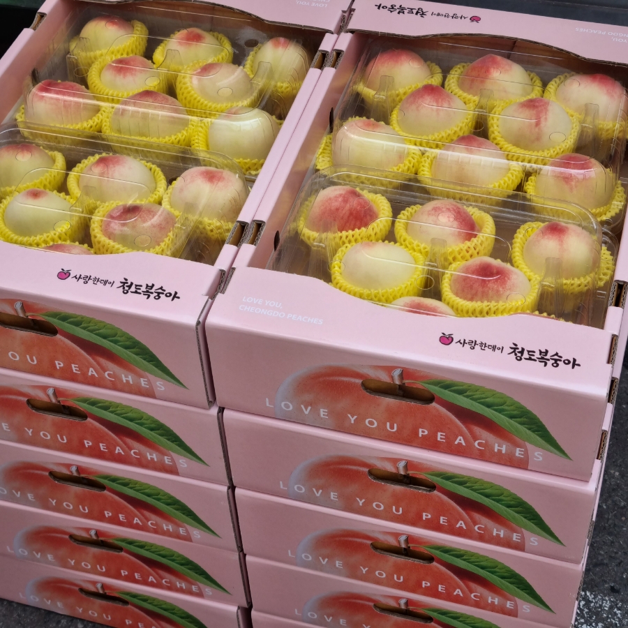 청도청과 이미지