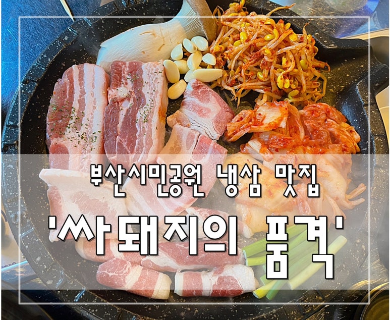 싸돼지의품격 이미지