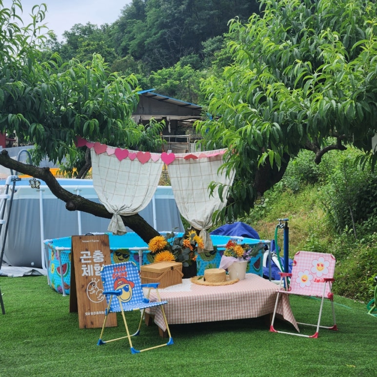 오세창곤충체험농장 이미지