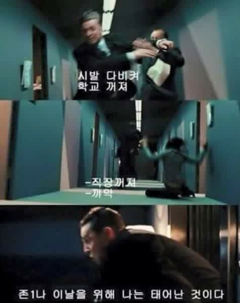 마마돈 이미지