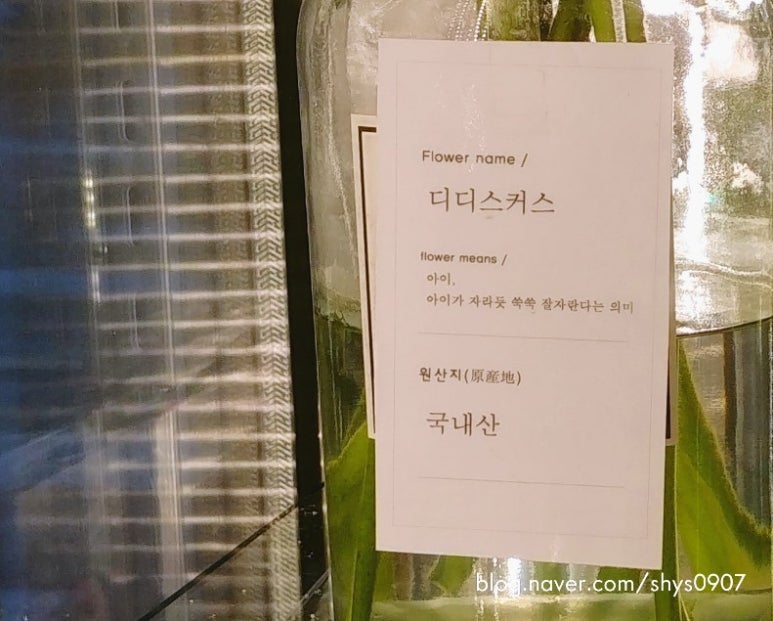 풀풀플라워 이미지