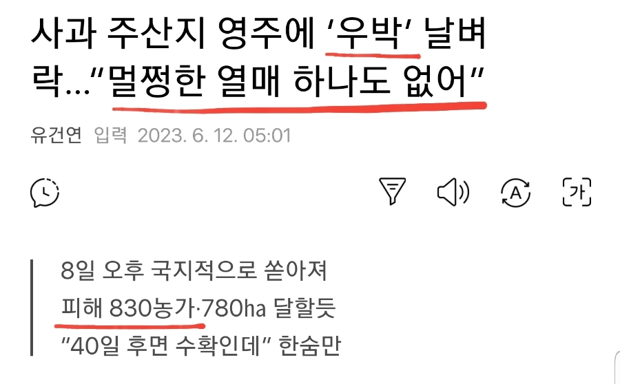 오후5시;사과밭 이미지