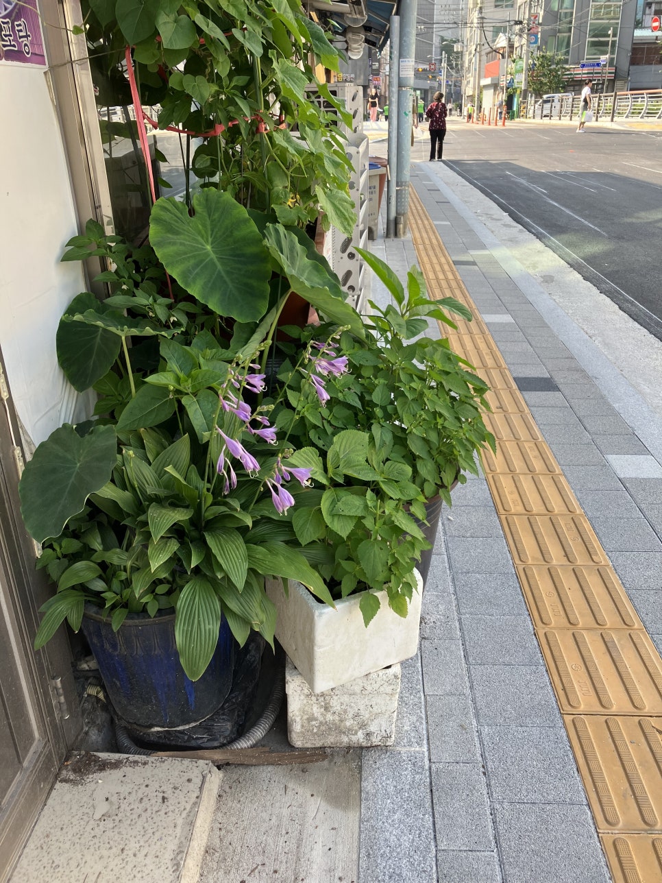 삼영사우나 이미지